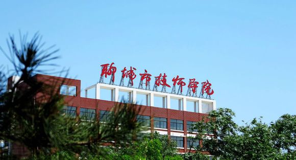 聊城市技師學院有計算機專業嗎？